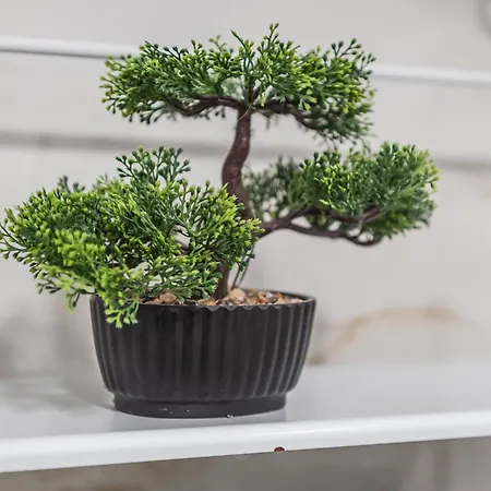 Lejlighed Helia's Cozy Qerret Golem (Tirana)