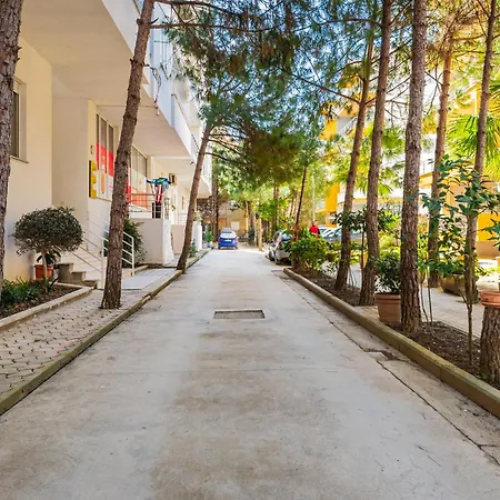 Helia's Cozy Qerret * Golem (Tirana)