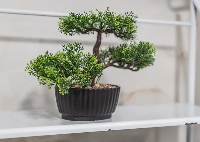 Apartment Helia's Cozy Qerret Golem (Tirana)