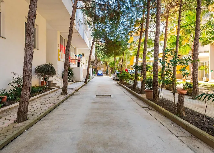 Helia's Cozy Qerret * Golem (Tirana)